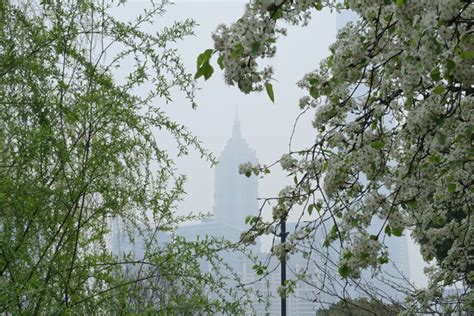 《暴雨梨花》的悲情愛戀與上海灘風華！